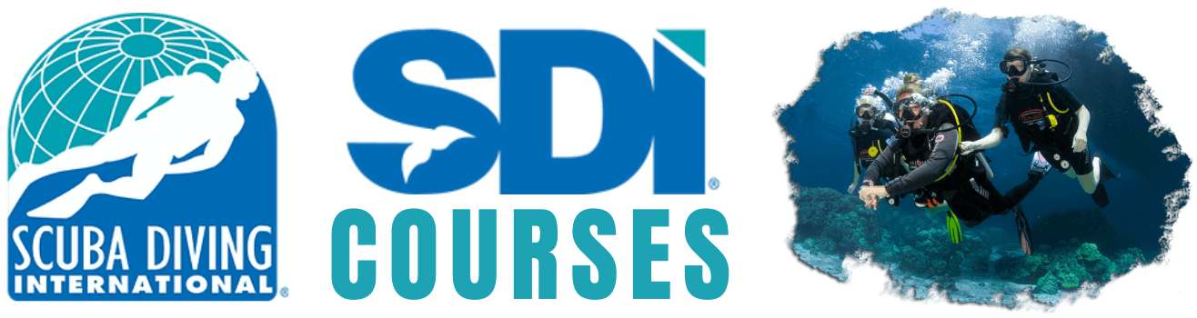 SDI Courses