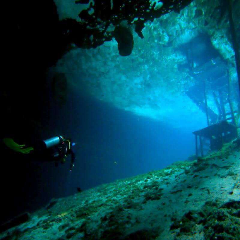 Cenote Diving Tulum, Portals to the Underworld