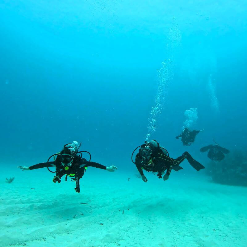 Open Water Diving with Friends